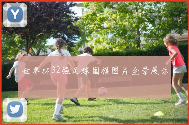世界杯32强足球国旗图片全景展示