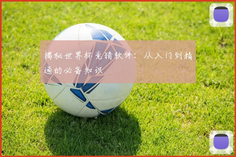 揭秘世界杯竞猜软件：从入门到精通的必备知识