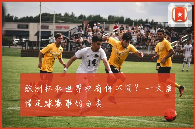 欧洲杯和世界杯有何不同？一文看懂足球赛事的分类