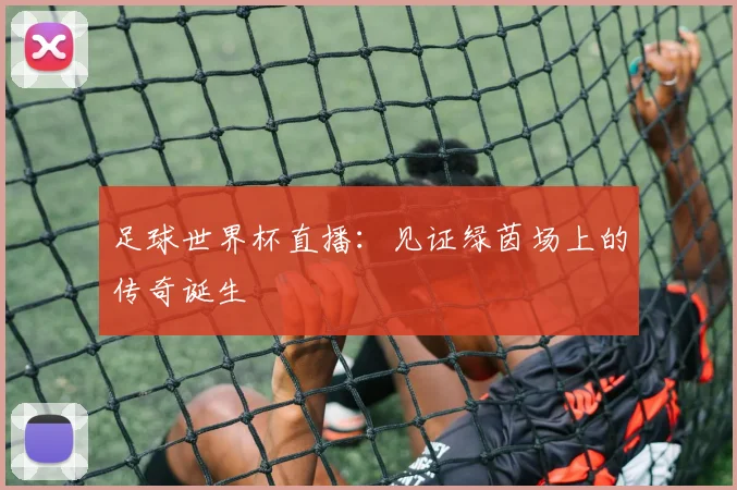 足球世界杯直播：见证绿茵场上的传奇诞生