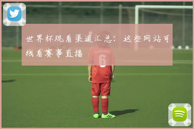 世界杯观看渠道汇总：这些网站可线看赛事直播