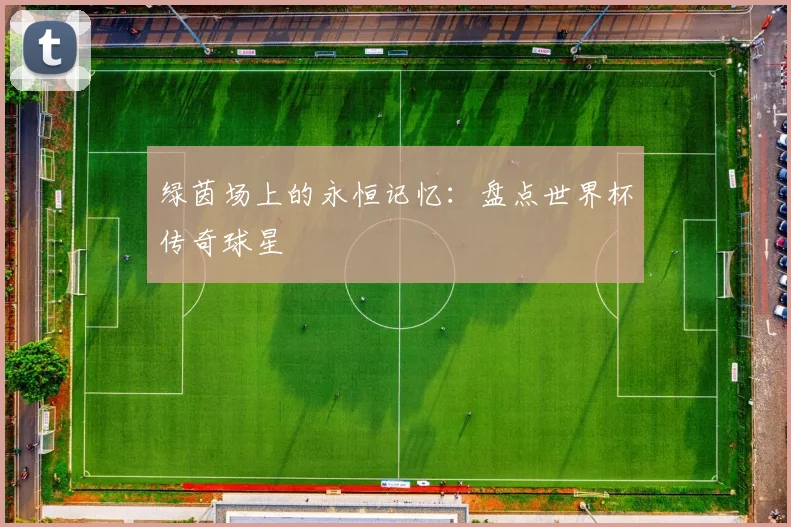 绿茵场上的永恒记忆：盘点世界杯传奇球星