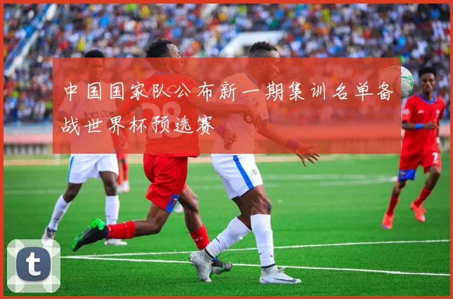 中国国家队公布新一期集训名单备战世界杯预选赛