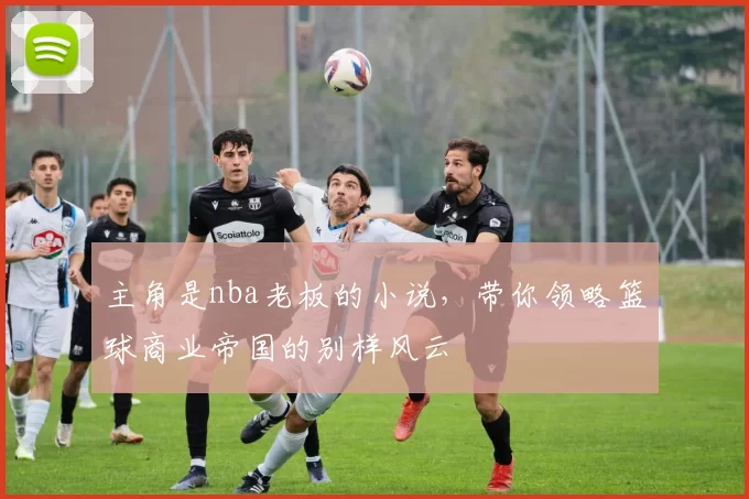 主角是nba老板的小说，带你领略篮球商业帝国的别样风云