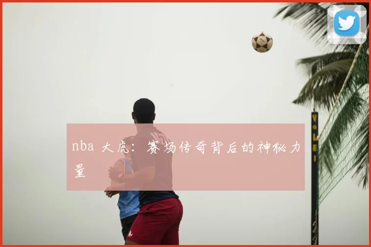nba 大虎：赛场传奇背后的神秘力量