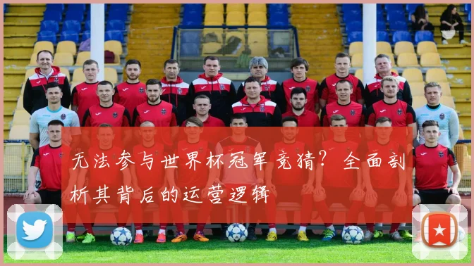 无法参与世界杯冠军竞猜？全面剖析其背后的运营逻辑