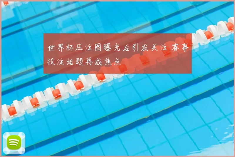 世界杯压注图曝光后引发关注 赛事投注话题再成焦点