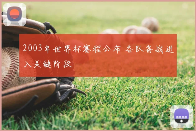 2003年世界杯赛程公布 各队备战进入关键阶段