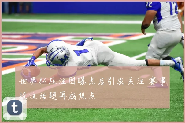 世界杯压注图曝光后引发关注 赛事投注话题再成焦点