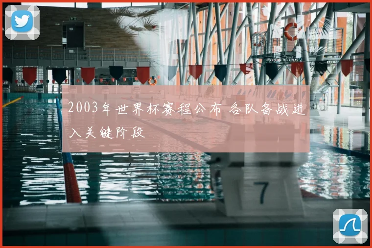 2003年世界杯赛程公布 各队备战进入关键阶段